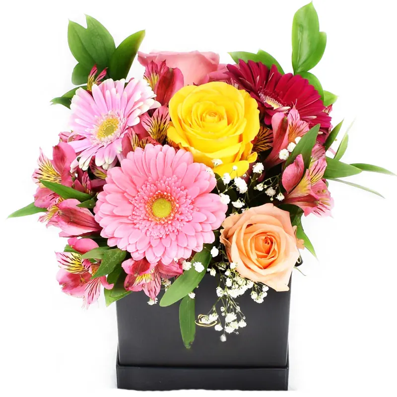 Цветы в коробке Робкая надежда