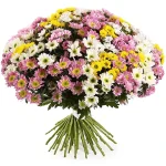 Хризантемы ромашковые нежный микс